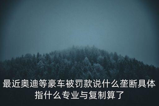 最近奧迪等豪車被罰款說什么壟斷具體指什么專業(yè)與復(fù)制算了