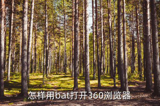 bat為什么沒有360，bat怎么免殺運行期間360沒有任何提示