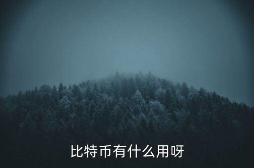 比特幣有什么用呀