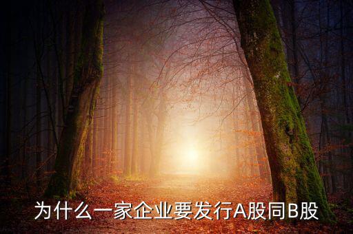 為什么發(fā)行b股，為什么一家企業(yè)要發(fā)行A股同B股