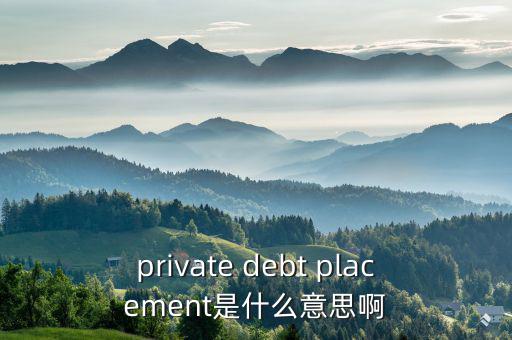 private debt placement是什么意思啊