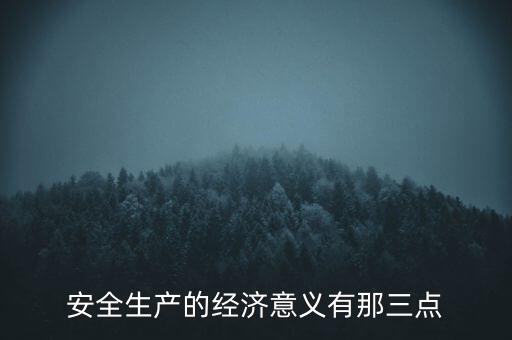 安全生產(chǎn)的經(jīng)濟(jì)意義有那三點(diǎn)