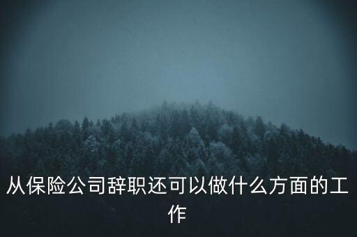 從保險(xiǎn)公司辭職還可以做什么方面的工作