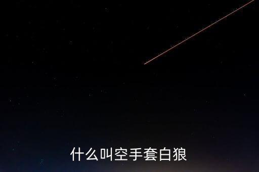 什么叫空手套白狼