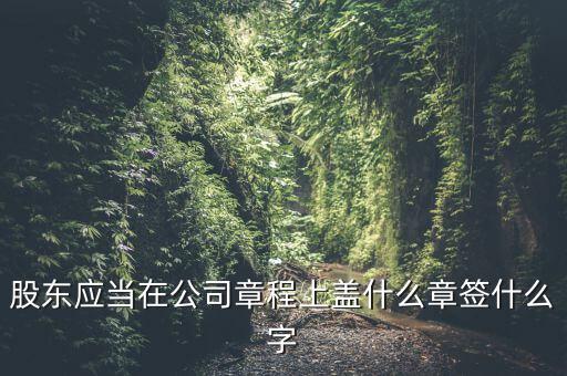 股東應(yīng)當在公司章程上蓋什么章簽什么字