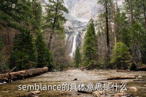 semblance的具體意思是什么