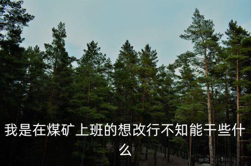 我是在煤礦上班的想改行不知能干些什么