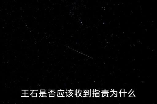 王石是否應該收到指責為什么