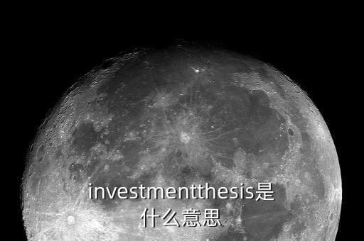 investmentthesis是什么意思