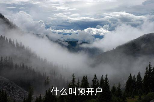 什么是預(yù)開戶，什么叫預(yù)開戶