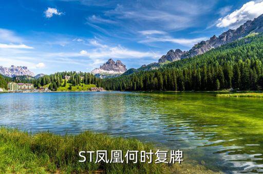 st鳳凰什么時(shí)候復(fù)牌，長(zhǎng)航鳳凰2013年七月一日怎么停牌了啊