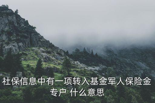 社保信息中有一項(xiàng)轉(zhuǎn)入基金軍人保險(xiǎn)金專戶 什么意思