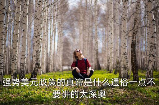 強(qiáng)勢美元政策的真諦是什么通俗一點(diǎn)不要講的太深?yuàn)W