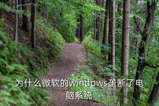 為什么微軟的windows壟斷了電腦系統(tǒng)