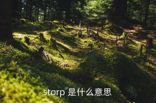 storp 是什么意思