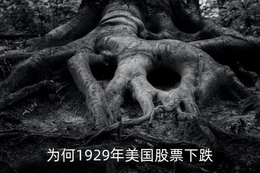 為何1929年美國股票下跌