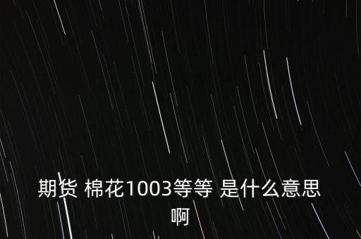 期貨 棉花1003等等 是什么意思啊