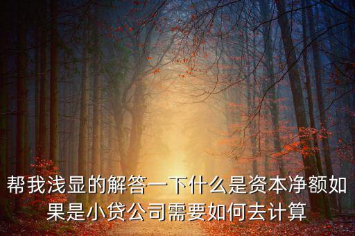 成果資本指什么，什么是資本