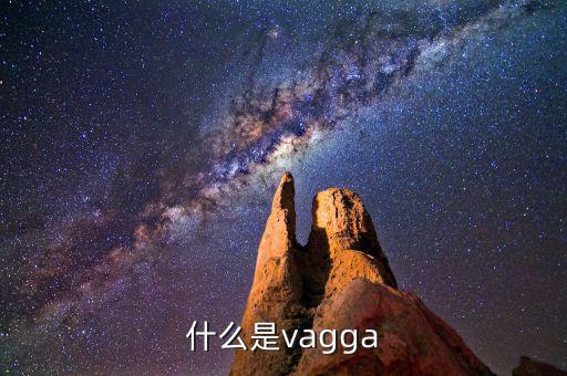 什么是vagga