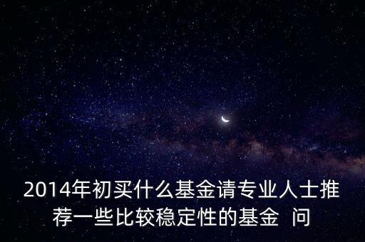 2014年初買什么基金請專業(yè)人士推薦一些比較穩(wěn)定性的基金  問