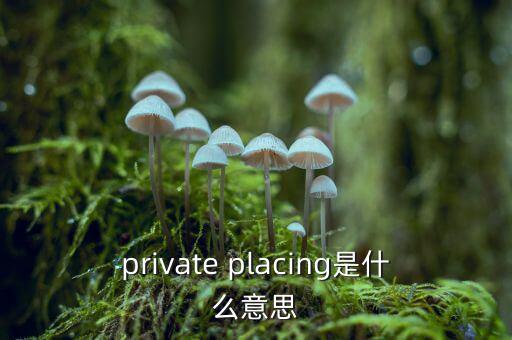 private placing是什么意思