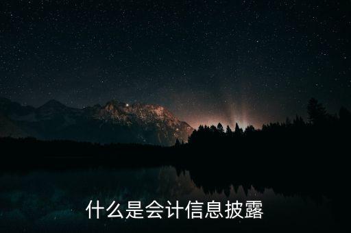 什么是會計信息披露