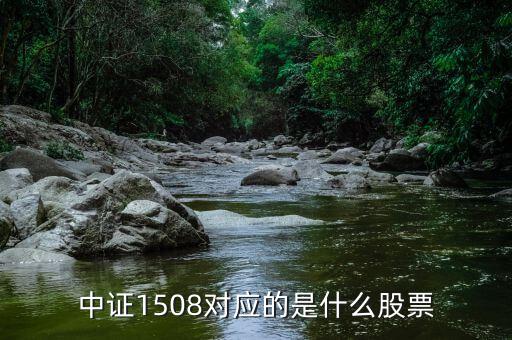 中證1508對應(yīng)的是什么股票