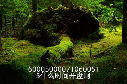 600050000710600515什么時間開盤啊