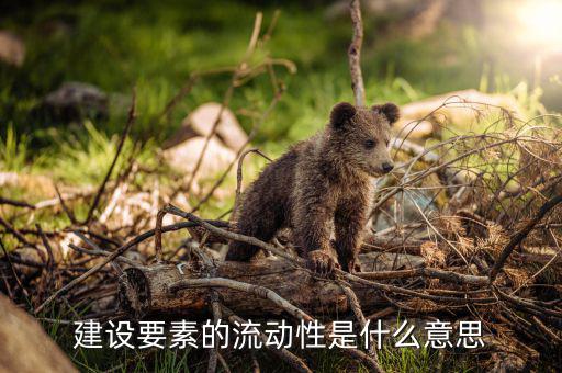 什么是要素流動，建設(shè)要素的流動性是什么意思