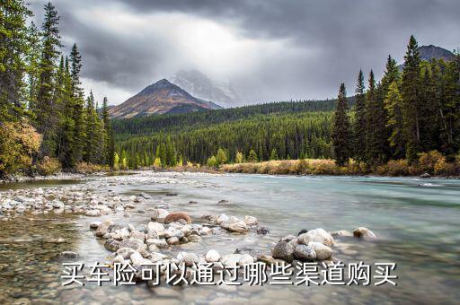 賣車險有什么渠道，什么叫做車險渠道