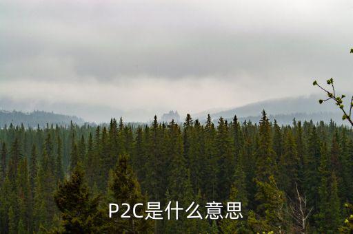 P2C是什么意思