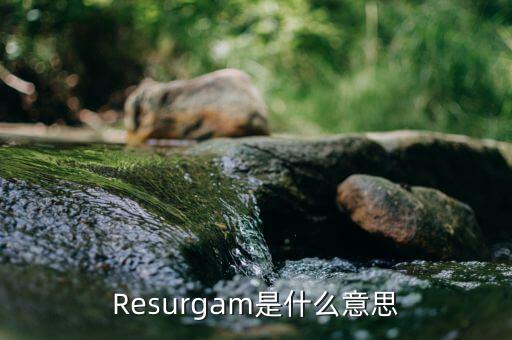 Resurgam是什么意思