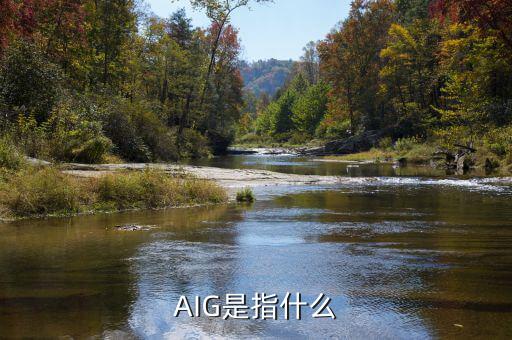 aig危機(jī)是什么，AIG為什么會(huì)瀕臨倒閉