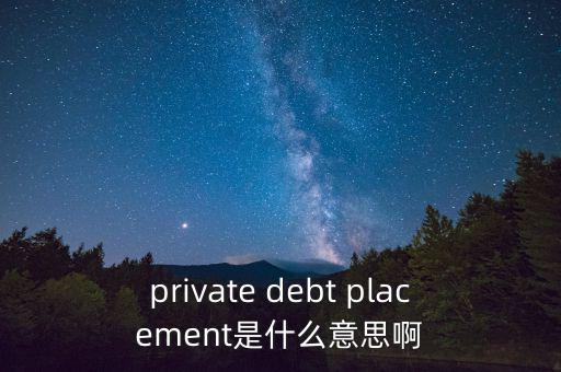 什么是私人配售，private debt placement是什么意思啊