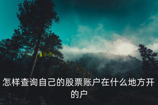 怎樣查詢(xún)自己的股票賬戶(hù)在什么地方開(kāi)的戶(hù)