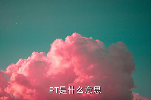 PT是什么意思