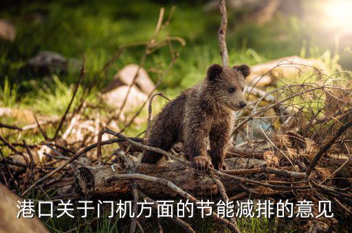 什么是港口大節(jié)能，國(guó)家在港口的氣力輸送方面有哪些環(huán)保政策