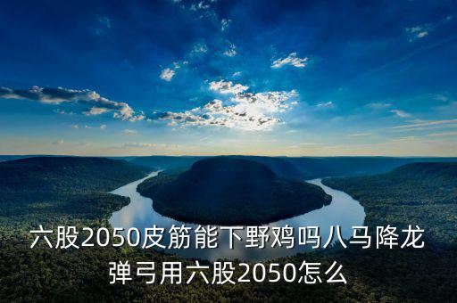 2050四股能下什么貨，2050四股到底配多大的鋼O合適