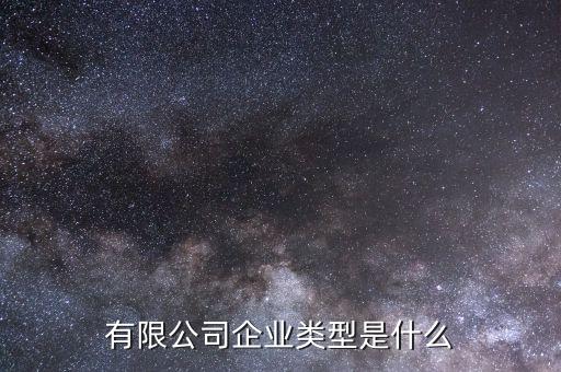 有限公司企業(yè)類型是什么