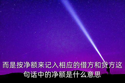 借款凈額是什么意思，而是按凈額來記入相應的借方和貸方這句話中的凈額是什么意思