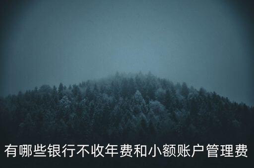 有哪些銀行不收年費和小額賬戶管理費