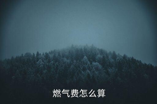  燃?xì)赓M(fèi)怎么算