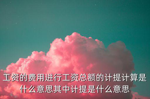 工資的費用進行工資總額的計提計算是什么意思其中計提是什么意思