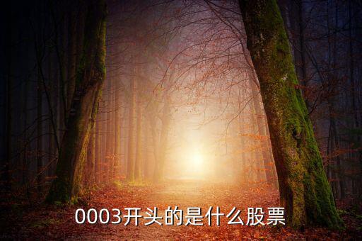 000053是什么股票，原來A股中科健現(xiàn)在是什么股票代碼