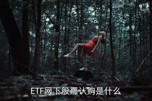 ETF網(wǎng)下股票認購是什么