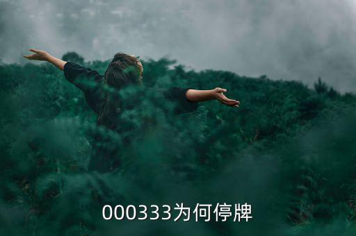 000333為什么停盤，000333為何停牌