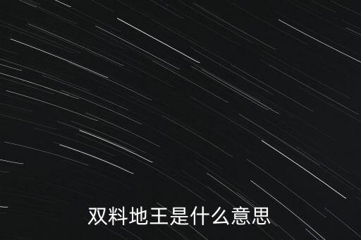 雙料地王是什么意思