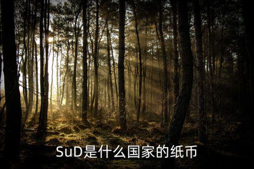 sud是什么貨幣，SUD是什么貨幣單位