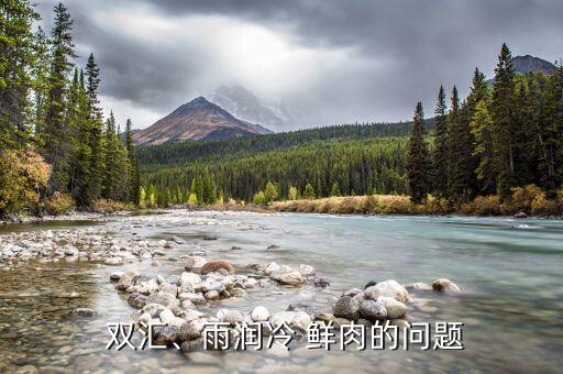  雙匯、雨潤冷 鮮肉的問題