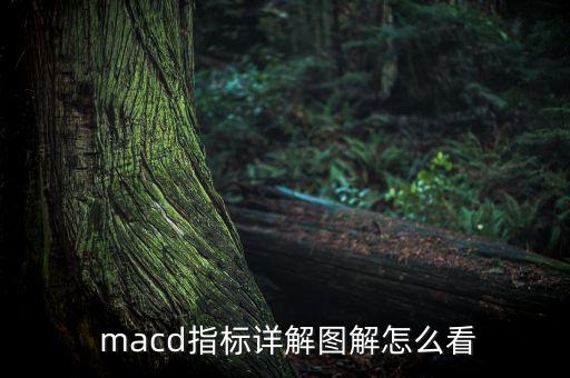  macd指標(biāo)詳解圖解怎么看